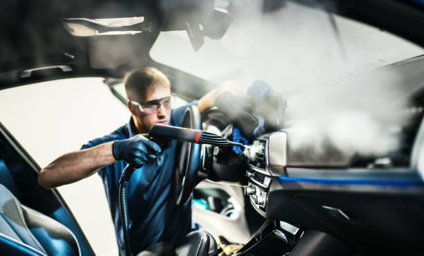Best Air Duct Mold Removal  in Fort Bliss, TX