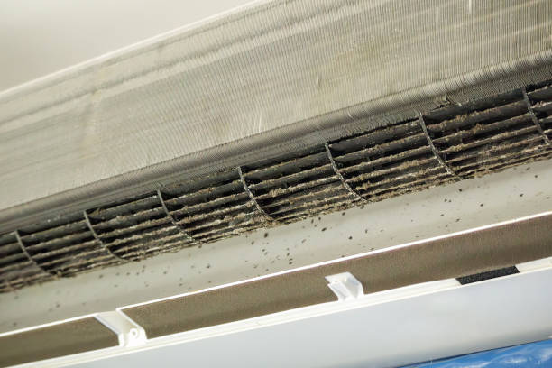 Best HVAC Duct Inspection Services  in Fort Bliss, TX