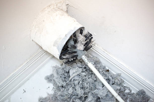 Best Dryer Vent Cleaning Services  in Fort Bliss, TX